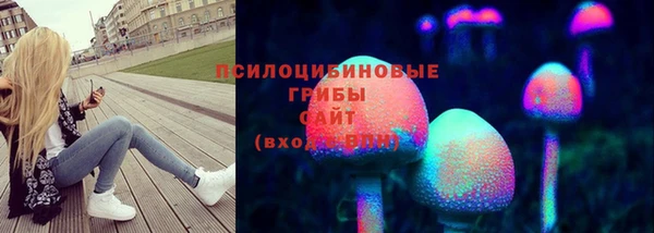стафф Абинск
