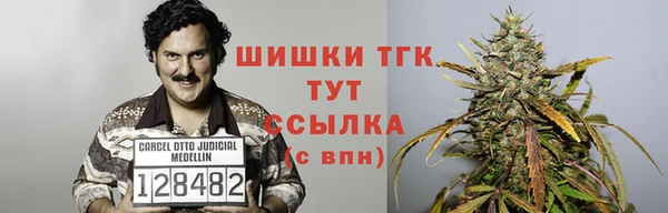 тгк Абдулино