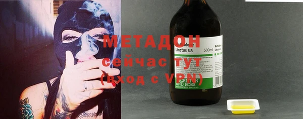 шишки Абаза