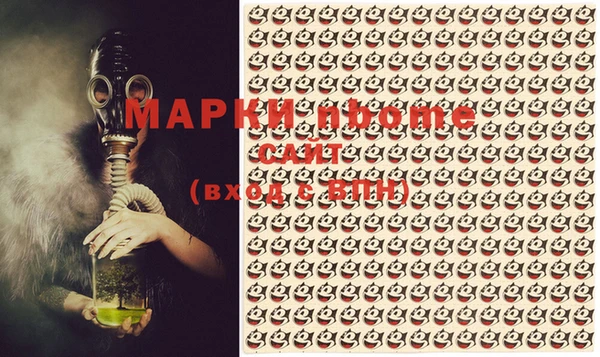 шишки Абаза