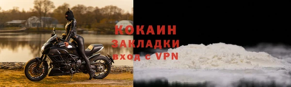 шишки Абаза