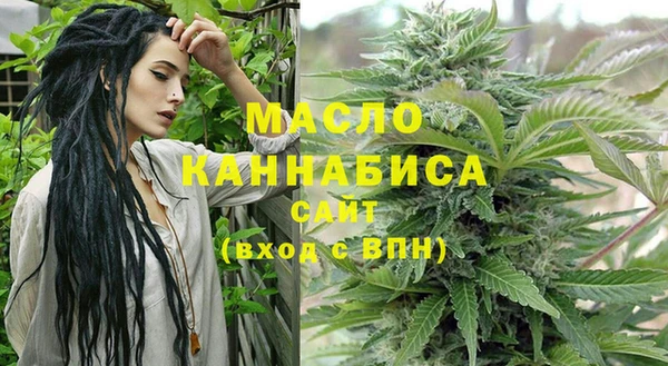 шишки Абаза