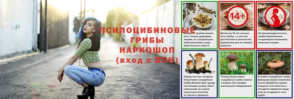 шишки Абаза