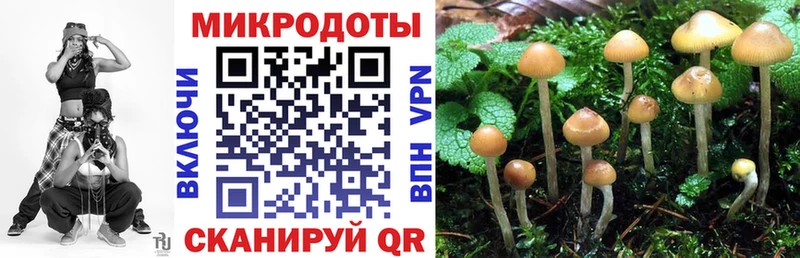 Галлюциногенные грибы Magic Shrooms  Алагир 